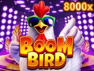 Boom Bird game screenshot