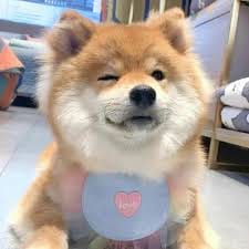 Andien Aisyah avatar